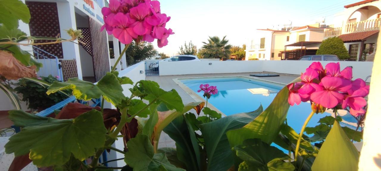 Thalassa Seaside Boutique Beach Apartment Πόλη Εξωτερικό φωτογραφία